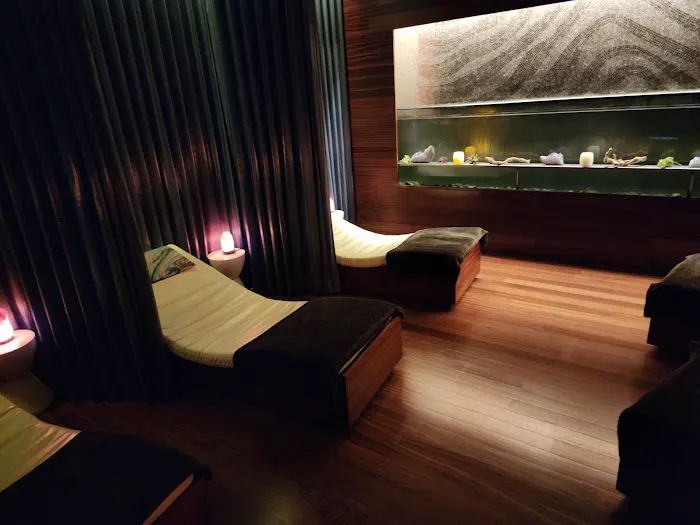 The Spa at Vdara Picture 7