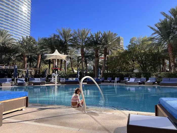 The Spa at Vdara Picture 8