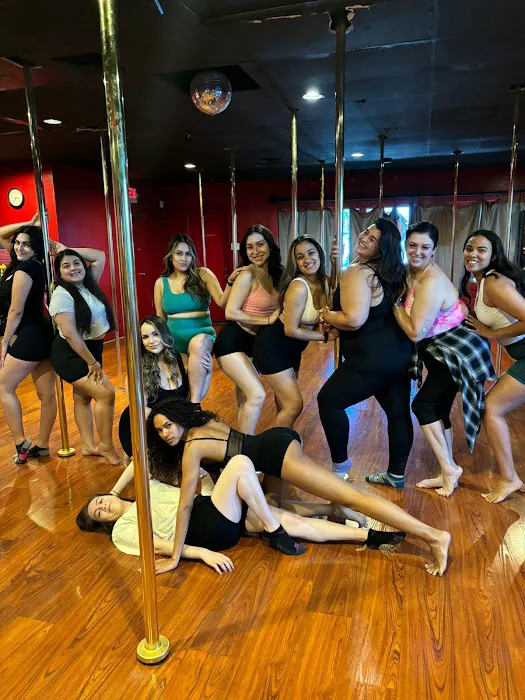 Pole Fitness Studio Picture 5