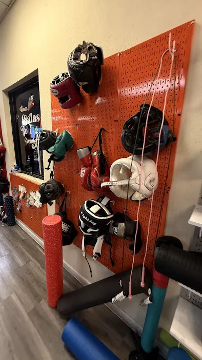Salas Boxing Academy Picture 9