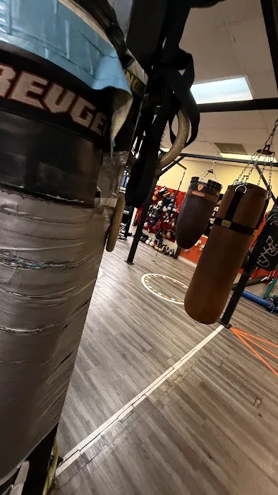 Salas Boxing Academy Picture 3