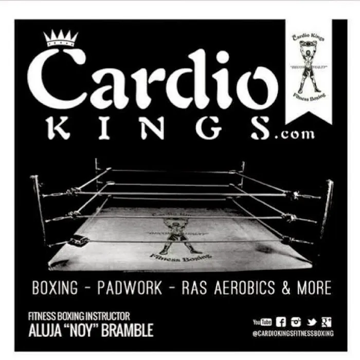 Cardio Kings Fitness Boxing Picture 1