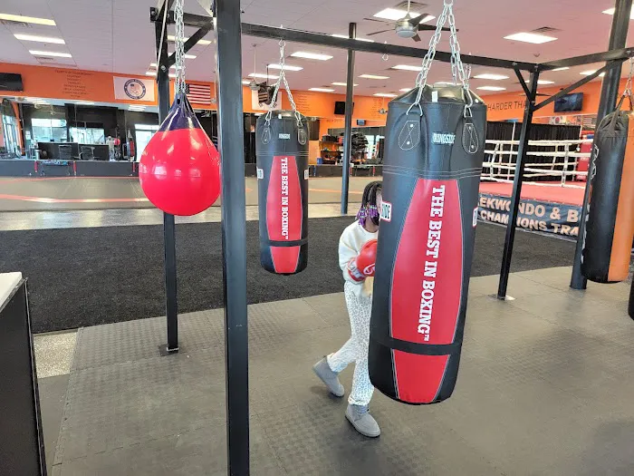 Las Vegas Boxing Picture 5