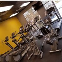 Muscle Fitness ico