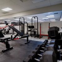 Fight or Quit Gym ico