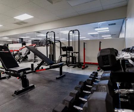 Fight or Quit Gym