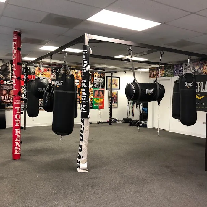 Capetillo Boxing Gym Picture 8