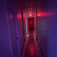 Adonis Bathhouse Gay Men's Health Club ico