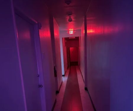 Adonis Bathhouse Gay Men's Health Club