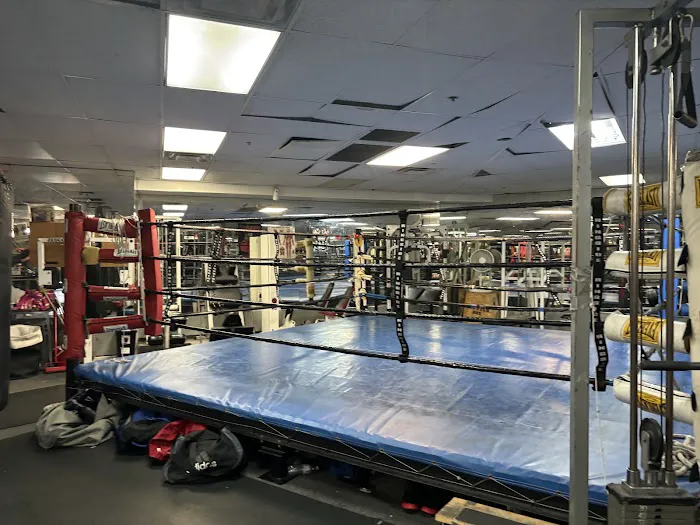 BOE BOXING & FITNESS Picture 2