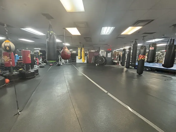 BOE BOXING & FITNESS Picture 3
