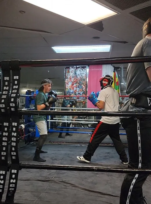 BOE BOXING & FITNESS Picture 9