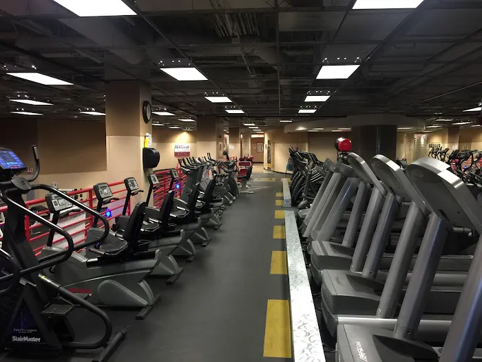 ZEROlevel Fitness & Wellness Picture 5