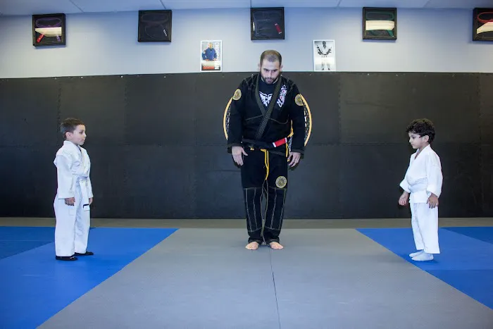 Hayastan MMA Picture 1