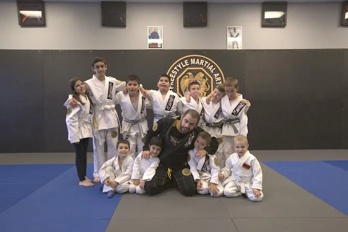 Hayastan MMA Picture 3