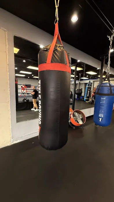 Real Boxing - Las Vegas Picture 3