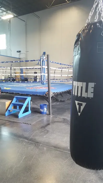 Real Boxing - Las Vegas Picture 1