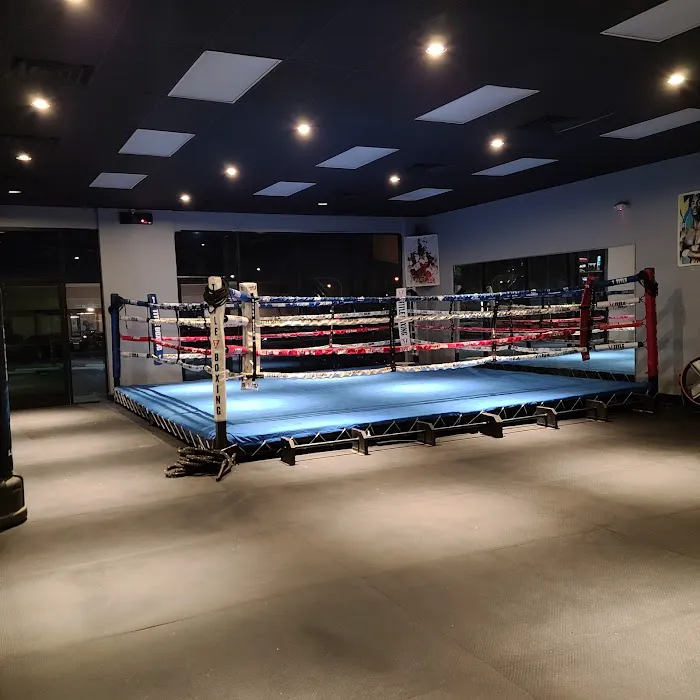 Real Boxing - Las Vegas Picture 4