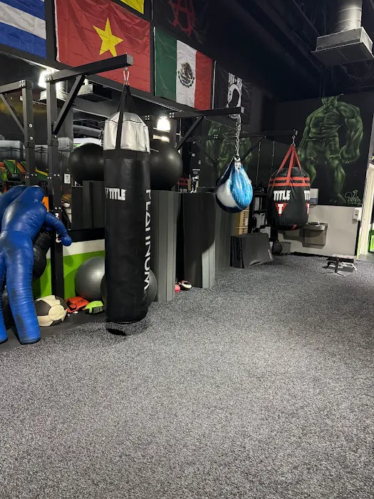 Smash Iron Fitness Picture 5