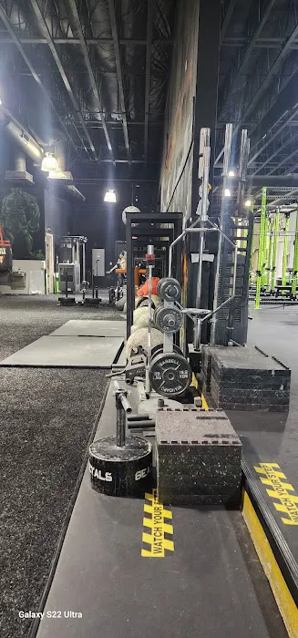 Smash Iron Fitness Picture 8