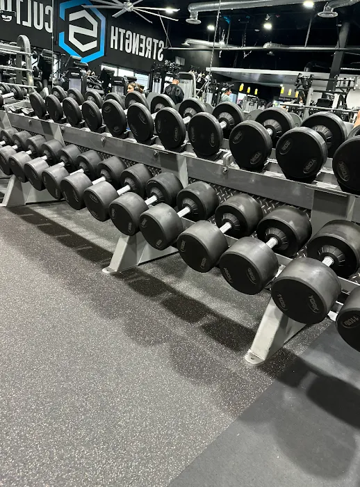 Strength Culture Picture 9