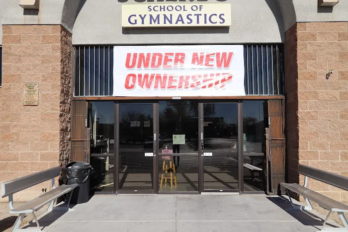 Vegas Gymnastics Academy Picture 2