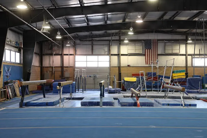 Vegas Gymnastics Academy Picture 5