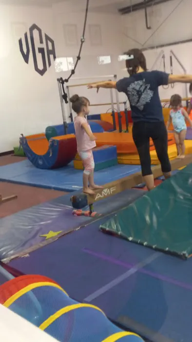 Vegas Gymnastics Academy Picture 3