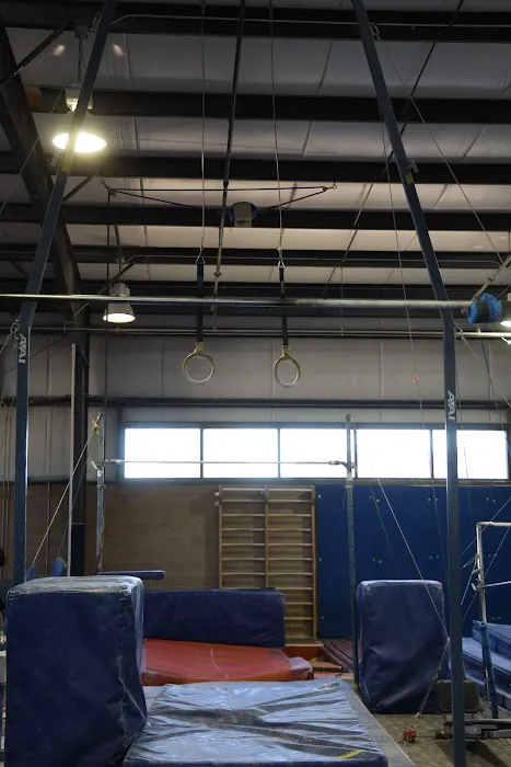 Vegas Gymnastics Academy Picture 9