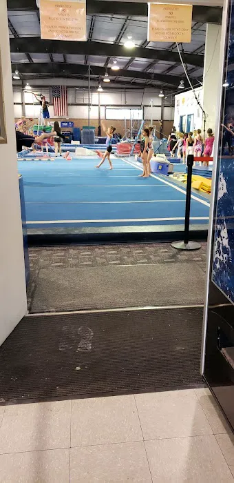 Vegas Gymnastics Academy Picture 10