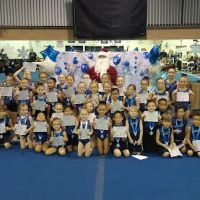 Vegas Gymnastics Academy ico