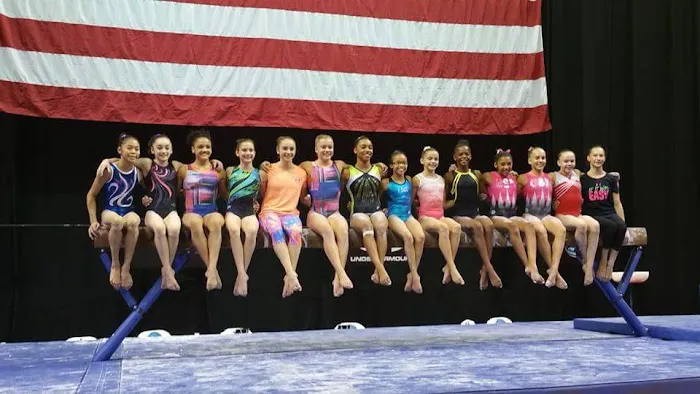 Salcianu Elite Academy of Gymnastics Picture 1
