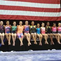 Salcianu Elite Academy of Gymnastics ico