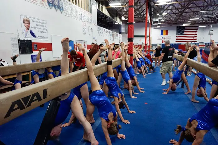 Salcianu Elite Academy of Gymnastics Picture 9