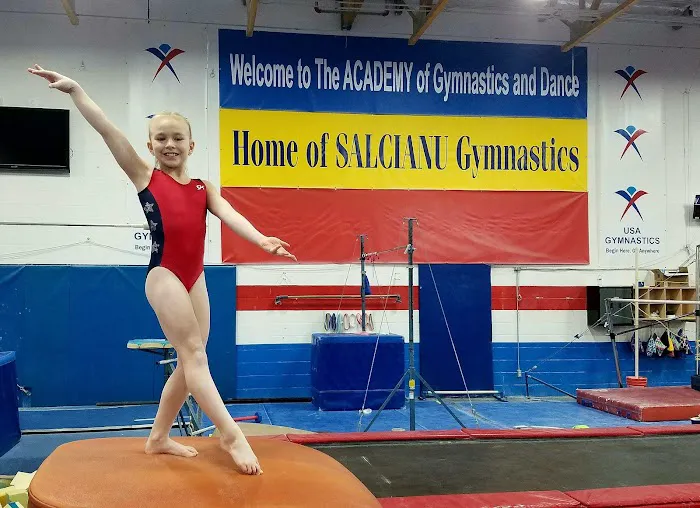 Salcianu Elite Academy of Gymnastics Picture 8
