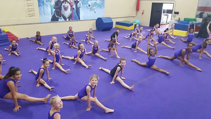 Salcianu Elite Academy of Gymnastics Picture 2
