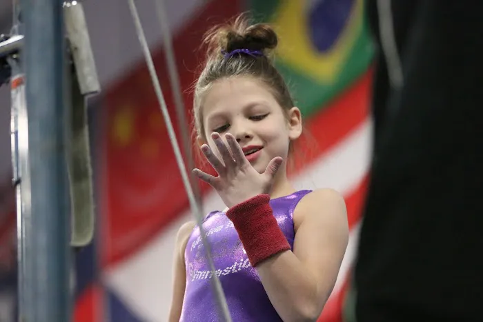 Salcianu Elite Academy of Gymnastics Picture 4