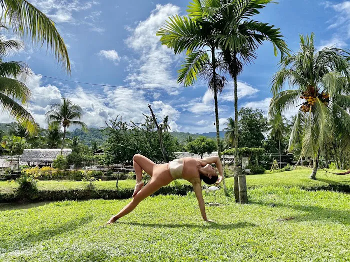 SSV Yoga- Yoga Teacher Training (YTT) Picture 4