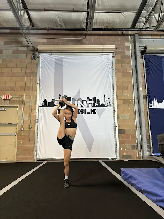 LV Stunt and Tumble Picture 1