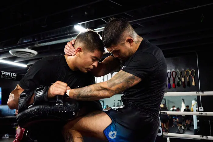 Pinto muay thai Picture 8