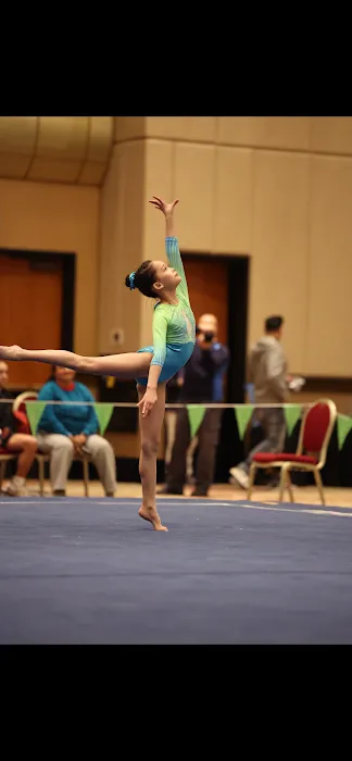 Laura Cutina Gymnastics Picture 9