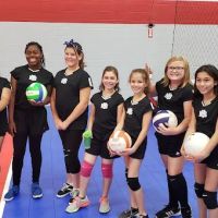 It's All Volleyball ico