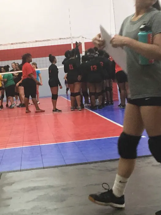 It's All Volleyball Picture 9