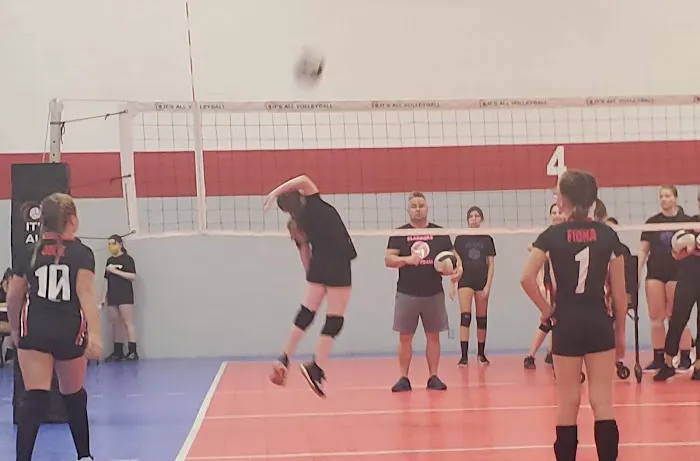 It's All Volleyball Picture 10