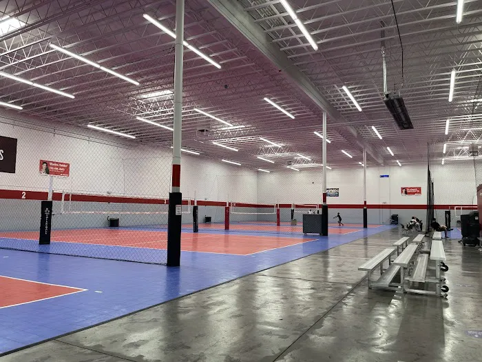 It's All Volleyball Picture 3