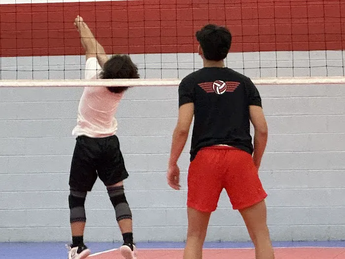 It's All Volleyball Picture 6