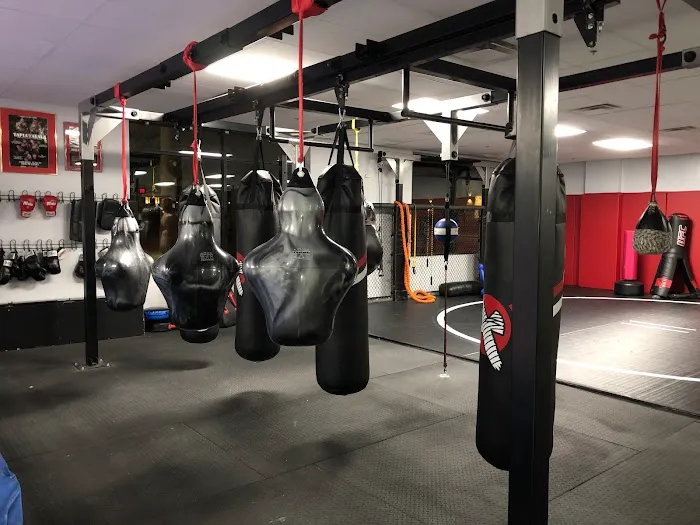 BodyCount Fitness & Boxing Picture 3