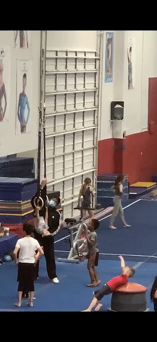 Brown’s Gymnastics Picture 5