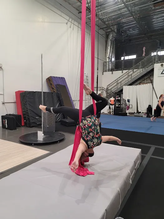 Aerial Fitness Picture 7