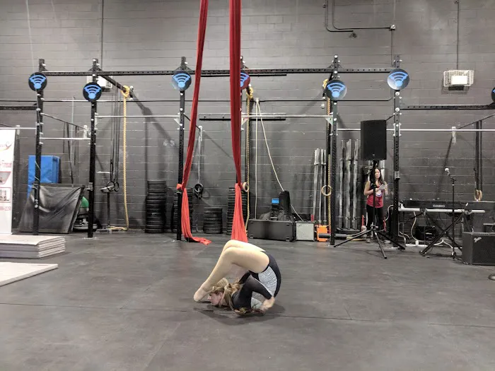Aerial Fitness Picture 9